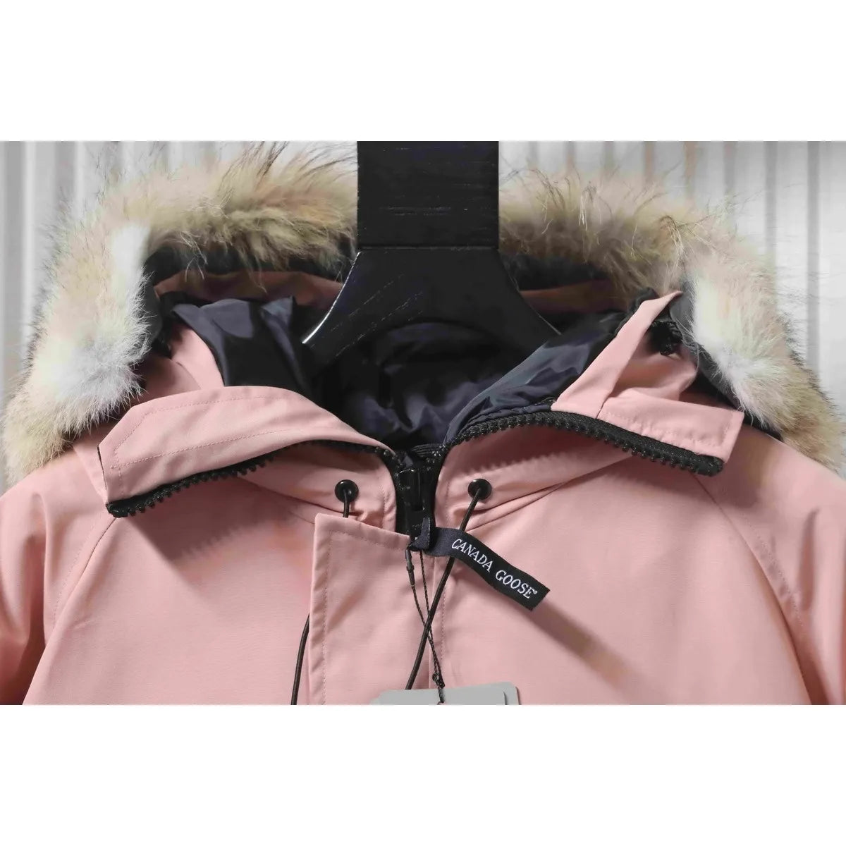 CG Chilliwack Bomber Jacket Short Down Jacket PBI Pink