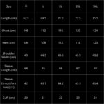 LV Jacket Reflective Monogram (2 COLORS)